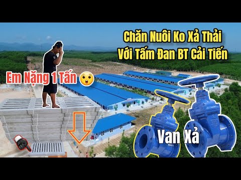 Video Giải Pháp Không Xả Thải Trong Chăn Nuôi Bằng Tấm Đan... - youtube