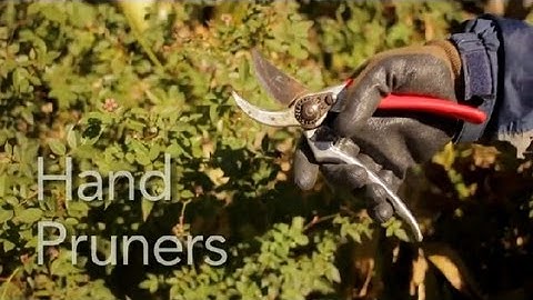 How to Use Hand Pruners : Garden Tool Guides