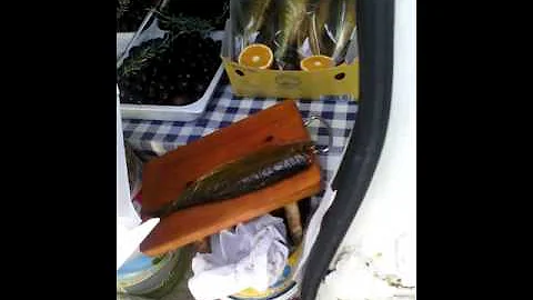 Dove viene pescata l aringa?