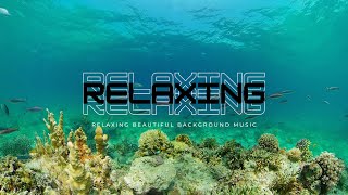 Ambient Relaxing ambient meditation motivation music aquarium no copyright