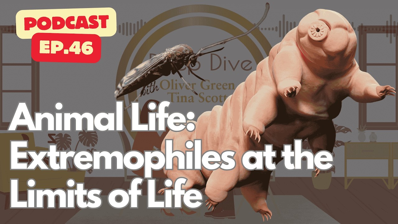 Extremophiles at the Limits of Life: Surviving Radiation, Cold, and Heat