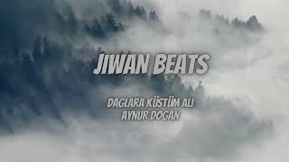 Aynur Doğan - Dağlara Küstüm Ali / Drill Remix / Prod.jiwanbeats Resimi