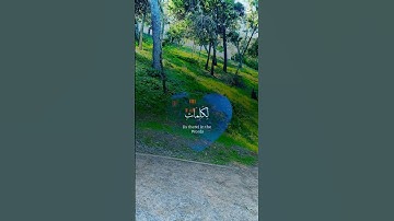 القرآن الكريم.قراءة مباركة #استغفرالله #لايك #راحة_نفسية #تيك_توك #اكسبلور #استغفار