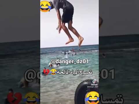 التمساح الجزائري تمساح المياه المالحة