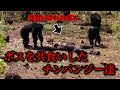 【衝撃】一体なぜ?元ボスを共食いしたチンパンジー達