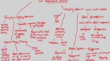 Animal Behavior - Selection | BIALIGY.com