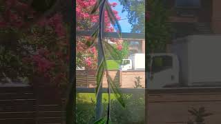 GHETTO MOVING OUT #therealgypsysoul #vlogger #winstonsalemnc #tre4
