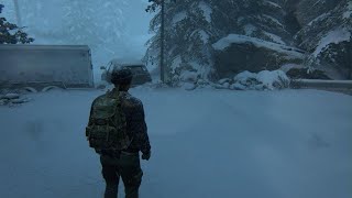 Famous The Last of Us Part II Remastered Abby Jackson CONSISTENT Strat Kill All No Gun Grounded Permadeath Net Worth