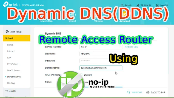 Dynamic DNS on TP-Link Router Which is Better No-IP or DynDNS
