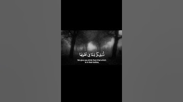 القارئ محمد اللحيدان(وشجرة تخرج من طور سيناء) Reader Mohammed Al-Luhaidan