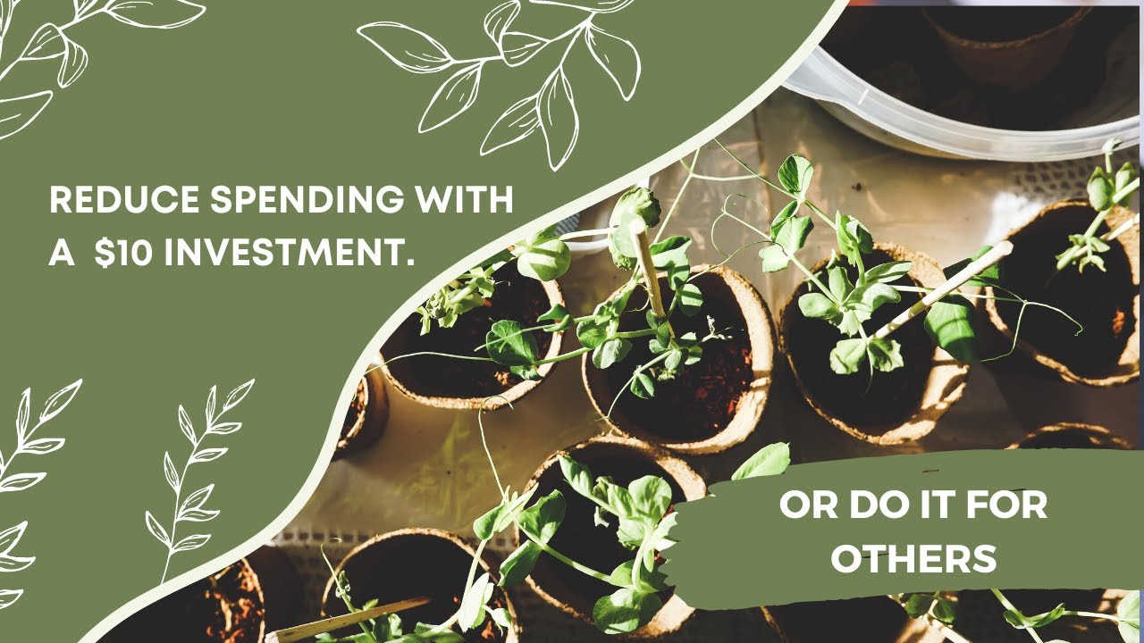 Cut your weekly food budget with a $10 investment