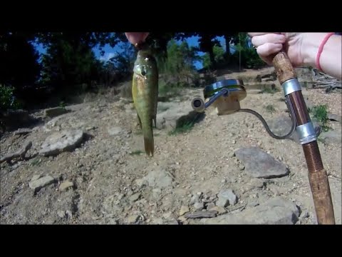 Fishing Reel Field Test and Review 