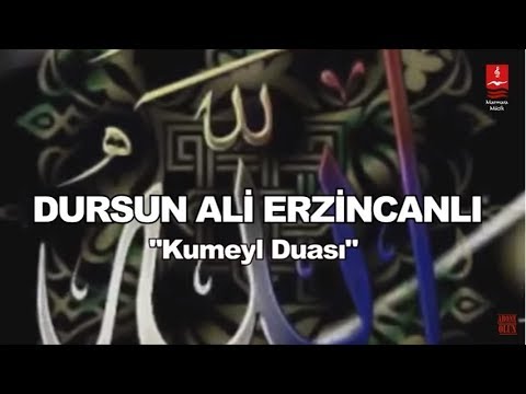 DURSUN ALİ ERZİNCANLI  \