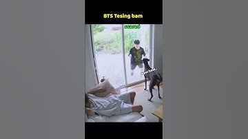 Jk scared by dog 🐶 bam