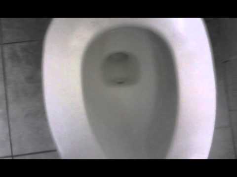 1995 Mansfield Alto Comfort Height Youtube