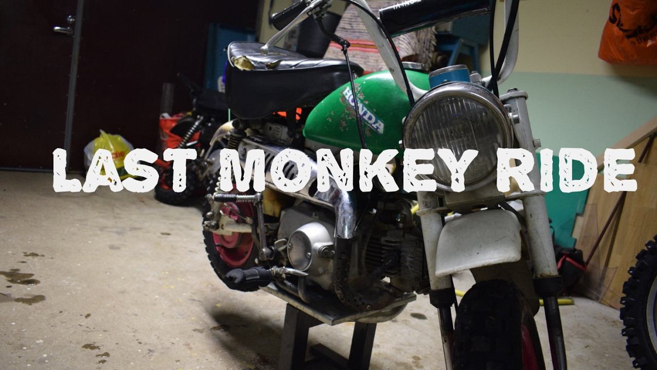 monkey suzuki