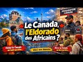 🇨🇦Être noir(e) au Canada : le choc de la réalité | Afro Expat Stories #4 #canadaimmigration