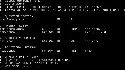 How to Configure DNS Filtering with Bind DNS RPZ in Debian Linux