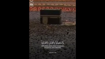 ﴿أَتَأمُرونَ النّاسَ بِالبِرِّ وَتَنسَونَ أَنفُسَكُم﴾ من سورة البقرة.. الشيخ سعود الشريم🤍.