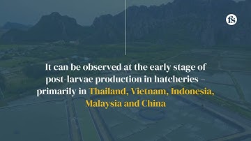 Recent findings on EHP infection in shrimp - The short of it