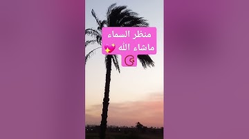 #لايك #اكسبلور #قران_كريم #راحة_نفسية # ياسر الدوسري سورة المؤمنون 📿💖🥺