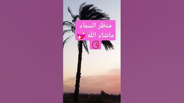 #لايك #اكسبلور #قران_كريم #راحة_نفسية # ياسر الدوسري سورة المؤمنون 📿💖🥺