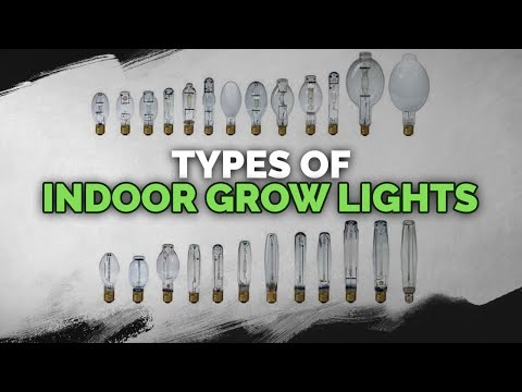 Indoor Grow Lights: CFL, LED, HPS, MH, CMH, And More Explained!