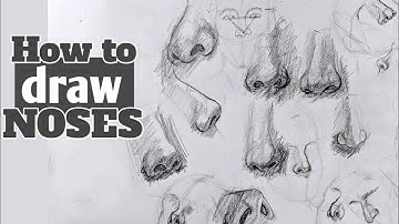 How To Draw Noses || Anatomy & Structure