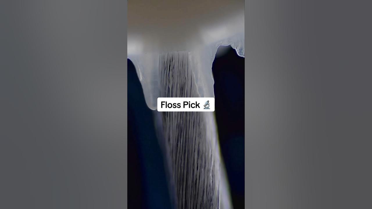 Floss Pick under microscope 🔬 YouTube
