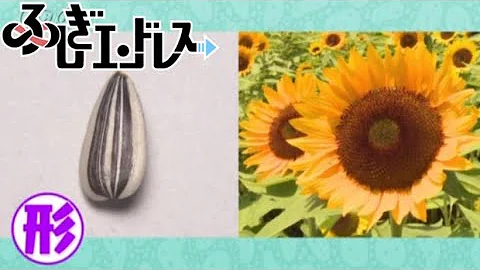 تحميل ふしぎエンドレス