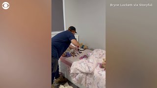 Thumbnail for Snake catcher removes venomous snake from child's bed