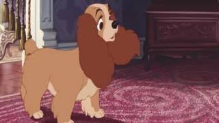 Lady and the Tramp - The Baby Arrives HD