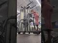 Gym Day #gym #lifter #bodybuildingworkout #training #liftingzone #musclebuildingworkout