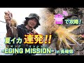 エギングミッション第九弾！夏イカを捕獲せよ in 長崎