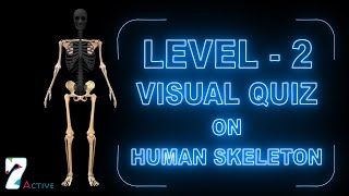 Visual Quiz on Human Skeleton (Level - 2)