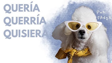 QuerÍa, QuerrÍa, or Quisiera? 🤔 Master Spanish Verbs for Polite Communication