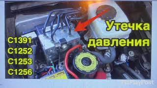 Abs Luxus Rx450H C1391. C1252. C1253. C1256