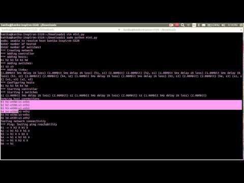 mininet assign