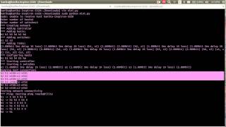 mininet assign