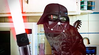 Darth Vader Cat