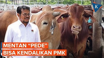 Kedatangan 800.000 Vaksin, Mentan "Pede" Wabah PMK Bisa Dikendalikan