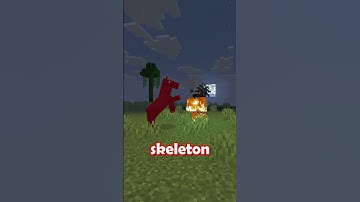 The SECRET Behind Skeleton and Zombie Horses... 😱