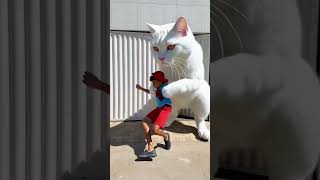o gato pegou ele😂😀😁 #funny #comedy #shorts