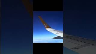 Pegasus Airlines vs Turkish Airlines