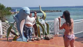 Delfines en Cuba - Dophins in Cuba. Delfinario Habana y Cienfuegos.