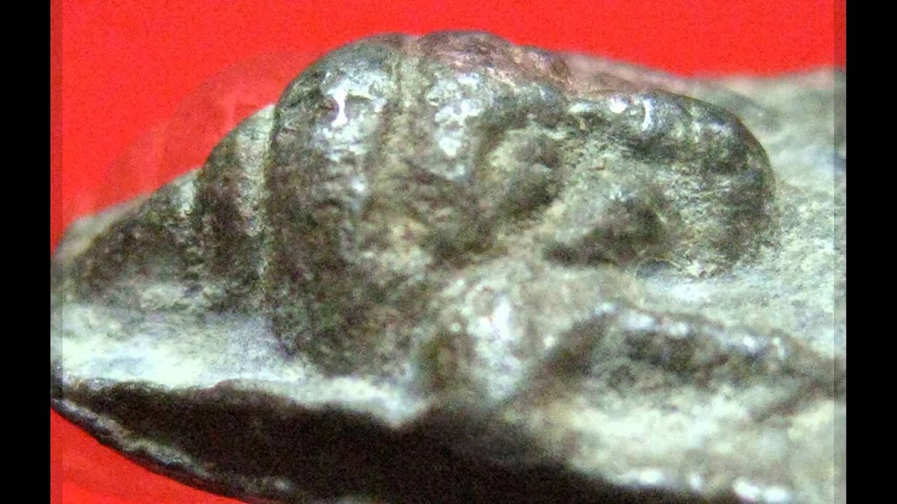 พระผงสุพรรณยอดโถ