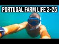 HOLIDAY with THE INDIE PROJECTS in the ALGARVE| PORTUGAL FARM LIFE S3-E25 ☀