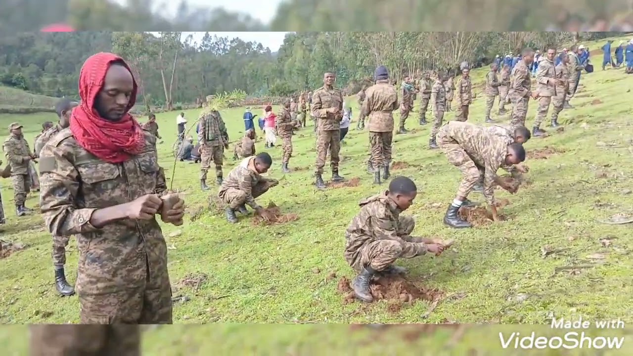 በደባርቅ ከተማ አስተዳደር 