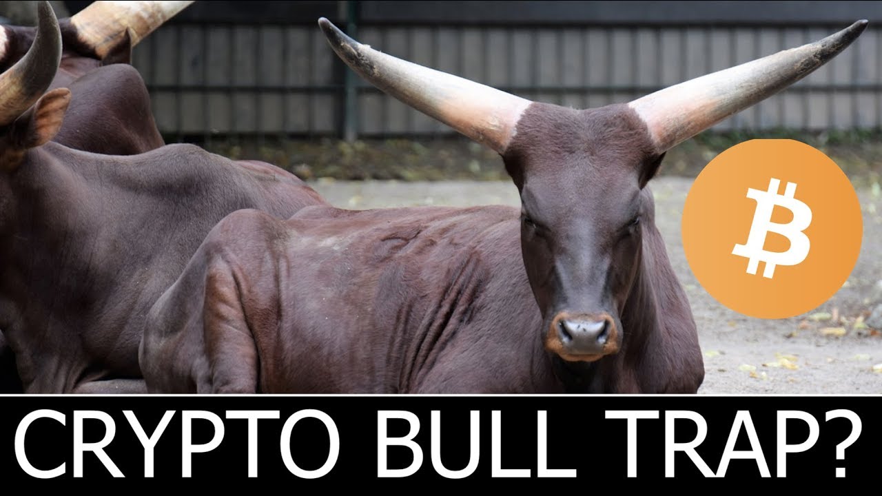 Bull trap cryptocurrency