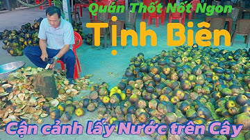 Đi tìm quán Thốt Nốt NGON tại Tịnh Biên.Cận cảnh người dân lấy nước thốt nốt trên cây như thế nào ?